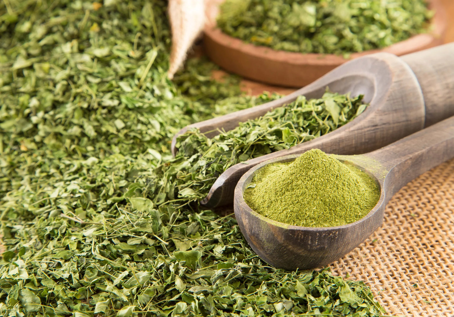 Moringa powder